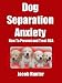 Dog Separation Anxiety - How To Prevent and Treat DSA