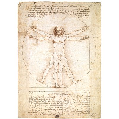 Vitruvian Man 1492 Leonardo da Vinci Davinci art POSTER - 13x19