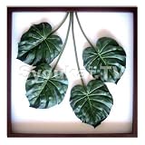 F-style リーフパネル・1040x1040x80mm　Monstera deliciosa  株式会社　伸和