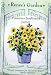 Sunflower Junior Container Seeds 35 Seeds
