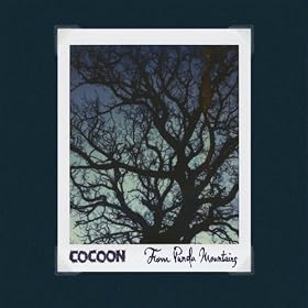 From Panda Mountains - EP