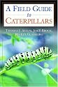 Caterpillars in the Field and Garden: A Field Guide to the Butterfly Caterpillars of North America