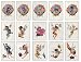 Disney Fairies Temporary Tattoos - Set of 15 Series 3 - Tinkerbell and Friends
