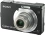 Sony Cyber-shot DSCW100 Black 8.1 Megapixel Digital Camera