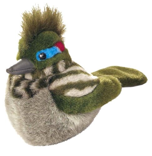 Buy Audubon Bird 5in Plush Roadrunner by Wild Republic now!