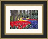 Picture Frame Gold With Black Strip .. 3'' wide