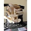 Mushroom Kit (BLUE-GREY OYSTER) - by MUSHROOMBOX (TM)
