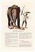 1952 The Travelers Insurance Elephant Cambodian Print Ad