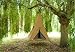 Treepee - Tan