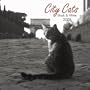City Cats Black & White 2008 Square Wall Calendar