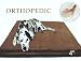 51loa7sbjKL. SL75  Dog Getting Older? Get an Orthopedic Dog Bed