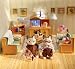 Calico Critters Fisher Cat Grandparents