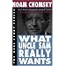 What Uncle Sam Really Wants (The Real Story Series)