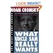 What Uncle Sam Really Wants (The Real Story Series)