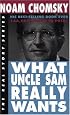 What Uncle Sam Really Wants (The Real Story Series)