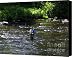 Fly Fishing In New York Canvas Print / Canvas Art - Artist Deborah Benoit