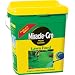Miracle-Gro Water Soluble Lawn Food 400 sq m (2 kg) Tub