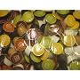 Nescaf� Dolce Gusto Variety Pack (50 capsules)