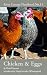 Chicken & Eggs
