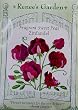 Sweet Peas Fragrant Zinfandel Seeds 30 Seeds