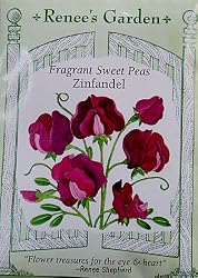 Sweet Peas Fragrant Zinfandel Seeds 30 Seeds