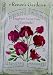 Sweet Peas Fragrant Zinfandel Seeds 30 Seeds