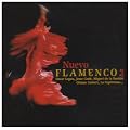Nuevo Flamenco Vol.2