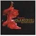 Nuevo Flamenco Vol.2