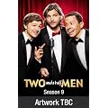 Two and a Half Men - Season 9 [DVD]
