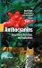 Anthocyanins: Biosynthesis, Functions, and Applications