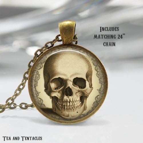 Skull Necklace, Skeleton, Anatomy Necklace, Science, Geek, Anatomical Pendant, Art Jewelry, chain included