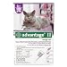 Advantage Topical Solution Flea Treatment for Cats Over 9 Pounds, 6 Applications