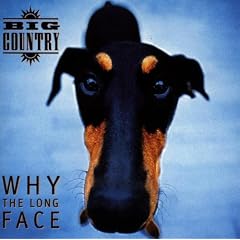 Why the Long Face