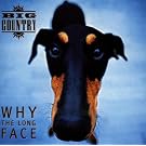 Why the Long Face