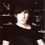 Wind in the Wires [Vinyl]