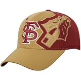 Men`s Florida State Seminoles Alternate Logos Flex-Fit Cap