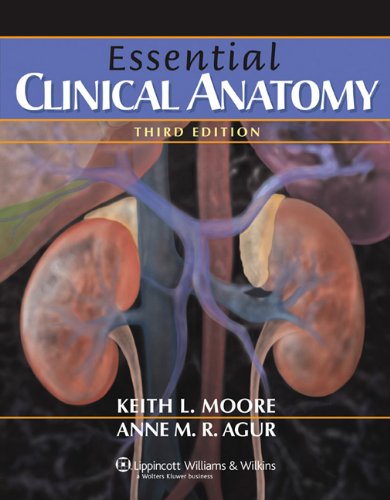 Essential Clinical Anatomy (Point (Lippincott Williams & Wilkins))