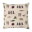 Northern Exposure Square Pillow - 18"