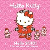 Hello Kitty Hello 2010! Out and about Mini Calendar