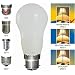 Memolux Bulb 1026
