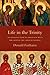 Life in the Trinity: An Introduction to Theology with the Help of the Church Fathers