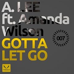 Gotta Let Go feat. Amanda Wilson