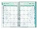 Blue Sky 2015-2016 Academic Year Weekly and Monthly Planner, Lianne Collection, Wire-O Bound, Frosted Cover, 5 x 8 Inches (16824-W)
