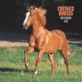 Chevaux/Horses 2008 Mini Wall Calendar