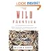 The Wild Frontier: Atrocities During the American-Indian War from Jamestown Colony to Wounded Knee
