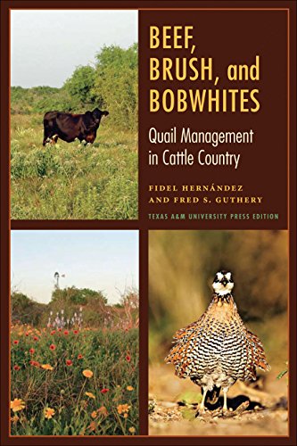 Beef, Brush, and Bobwhites: Quail Management in Cattle Country (Perspectives on South Texas, sponsored by Texas A&M University-Kingsville)