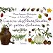 Cuisine des Fleurs, Feuilles et petites Salades