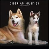 Siberian Huskies 2008 Square Wall Calendar