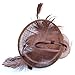 Womens Feather Mesh Fascinator Hat with Headband Brown