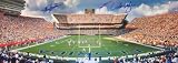 Steve Spurrier Autographed Florida Gators SWAMP 13.5x39 Panoramic Photo